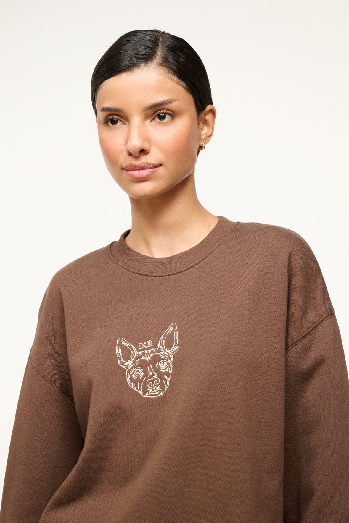OVERSIZED SWEATSHIRT | BROWN